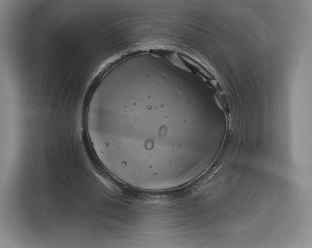 X0000113050438200909171544