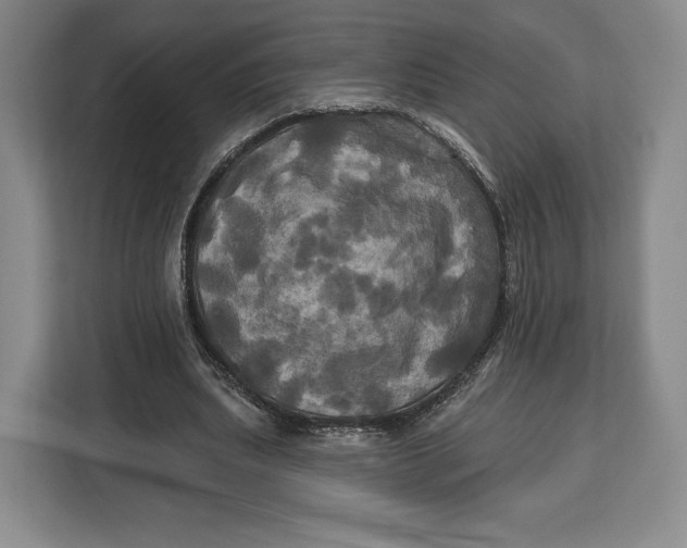 X0000113050439200909171544