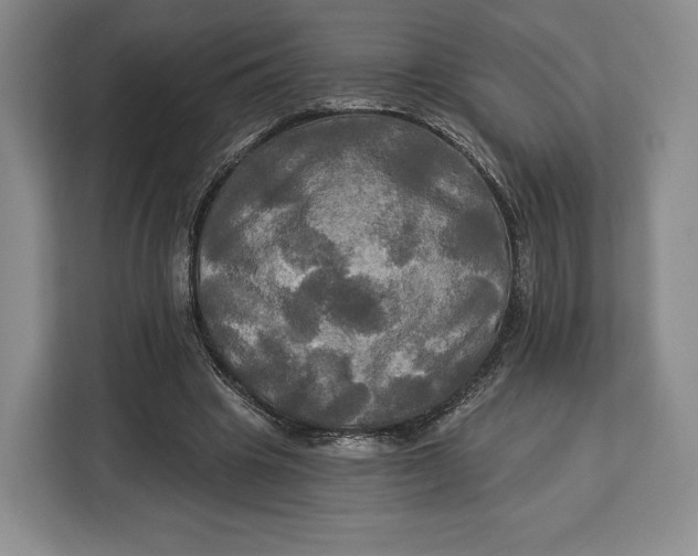 X0000113050441200909171544