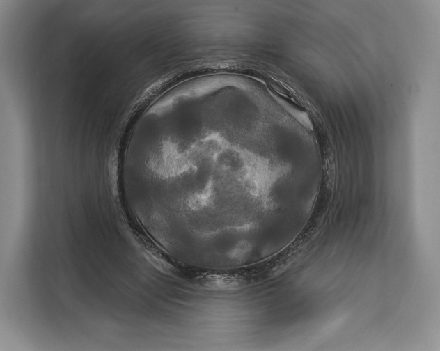 X0000113050442200909171544