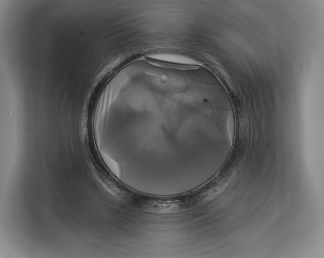 X0000113050443200909171544