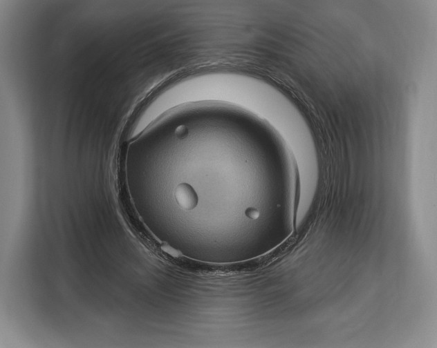 X0000113050444200909171544