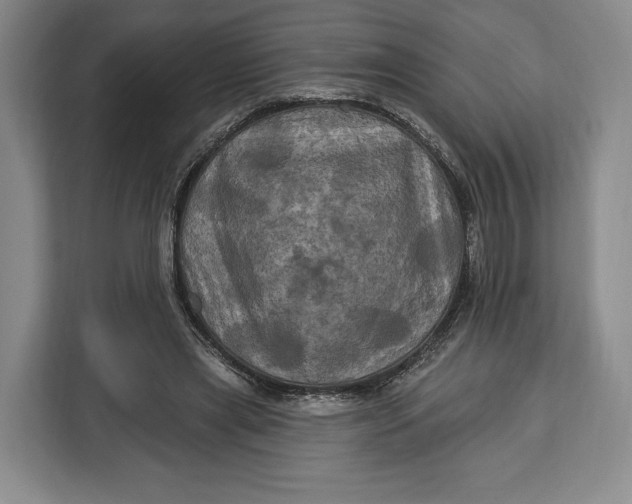 X0000113050445200909171544