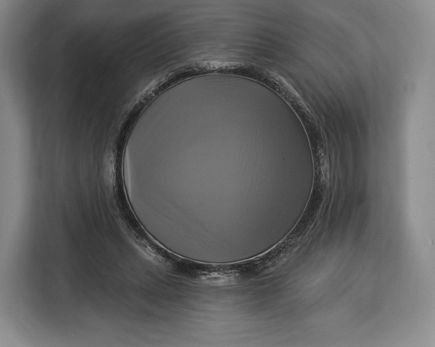 X0000113050447200909171544