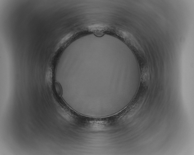 X0000113050448200909171544