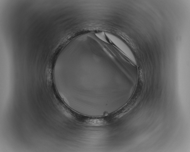 X0000113050449200909171544