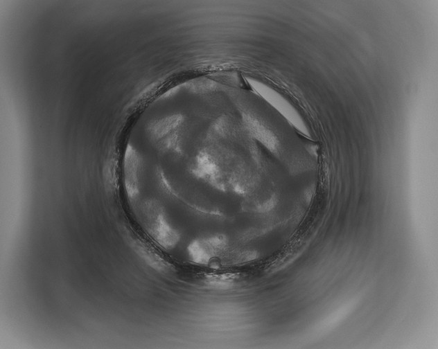 X0000113050450200909171544