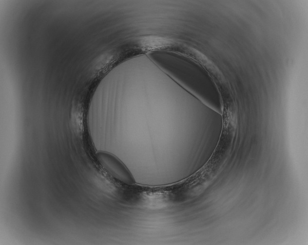 X0000113050452200909171544