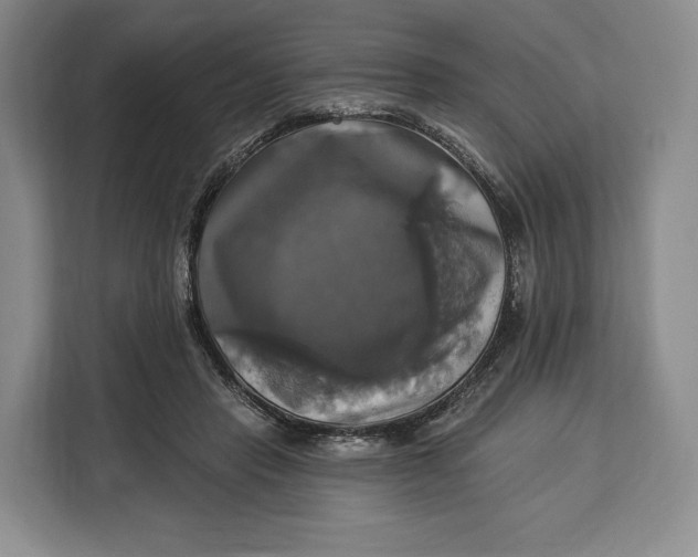 X0000113050453200909171544