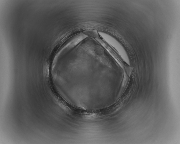 X0000113050454200909171544