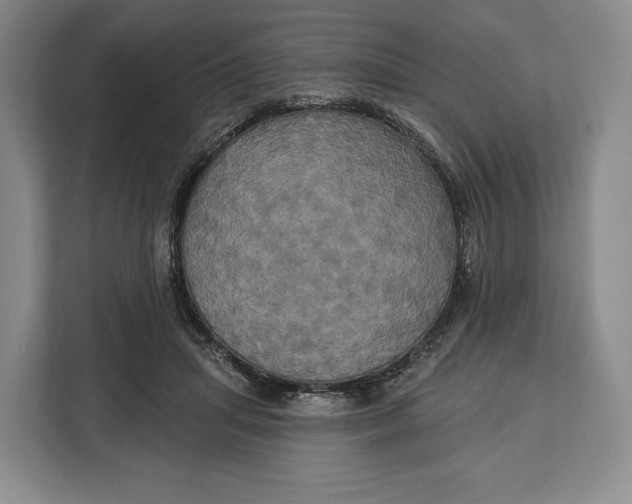 X0000113050455200909171544