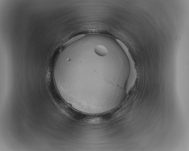 X0000113050456200909171544