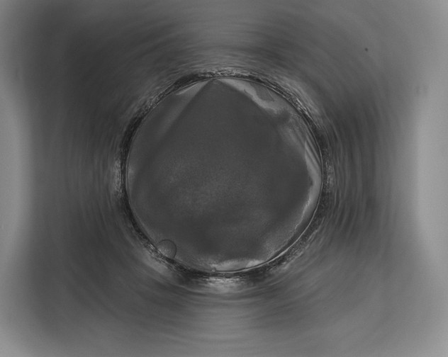 X0000113050457200909171544