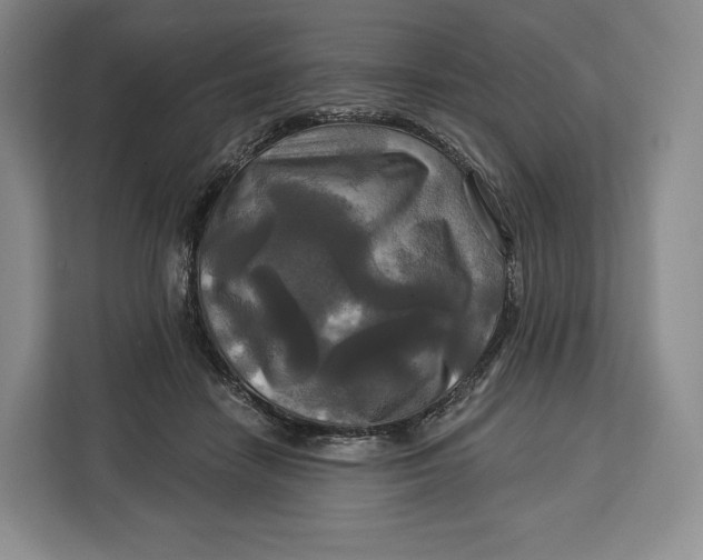 X0000113050458200909171544