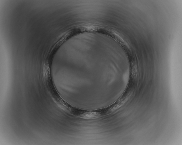 X0000113050459200909171544