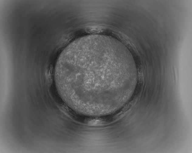 X0000113050460200909171544