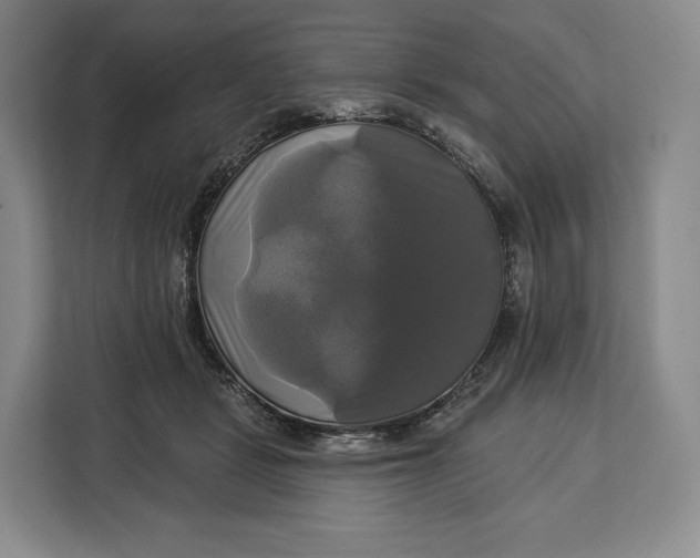 X0000113050461200909171544