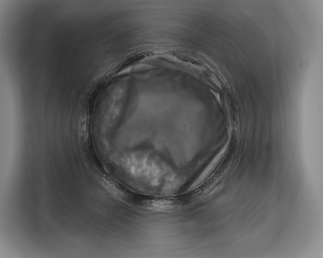 X0000113050462200909171544