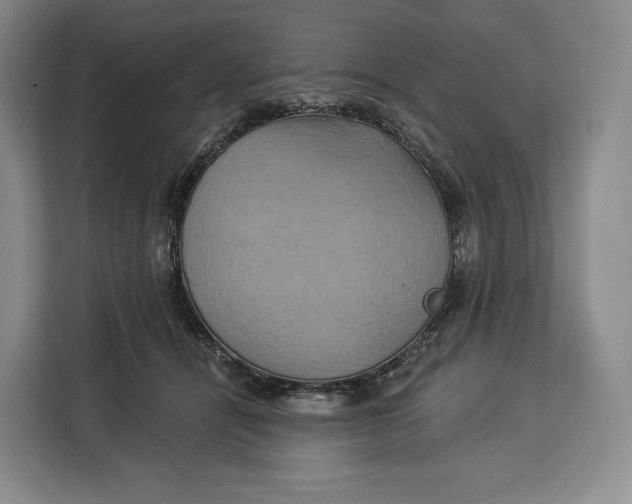 X0000113050464200909171544