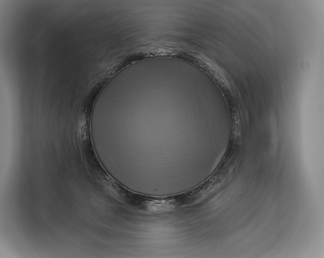 X0000113050465200909171544