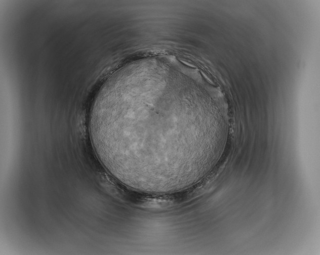 X0000113050466200909171544