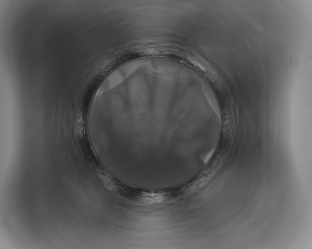 X0000113050469200909171544