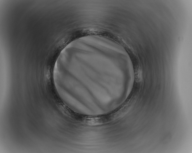 X0000113050472200909171544