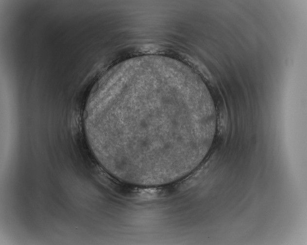 X0000113050473200909171544