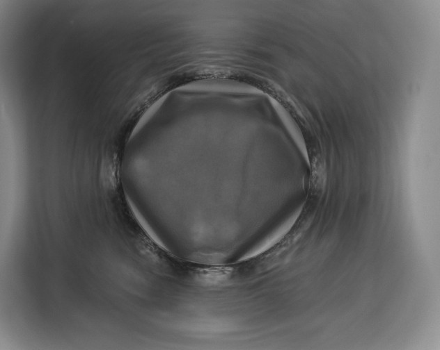 X0000113050474200909171545