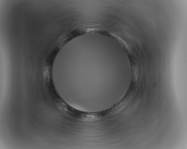 X0000113050475200909171545