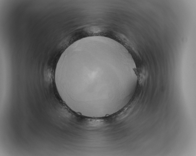 X0000113050476200909171545