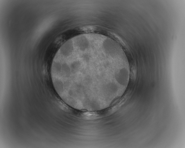 X0000113050477200909171545