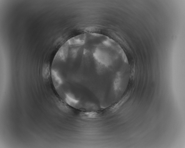 X0000113050478200909171545