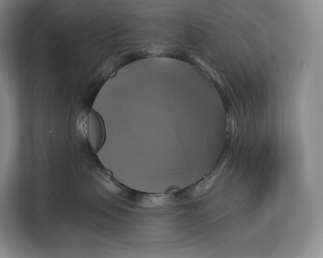 X0000113050479200909171545