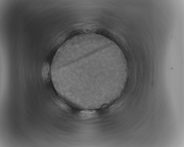 X0000113050480200909171545