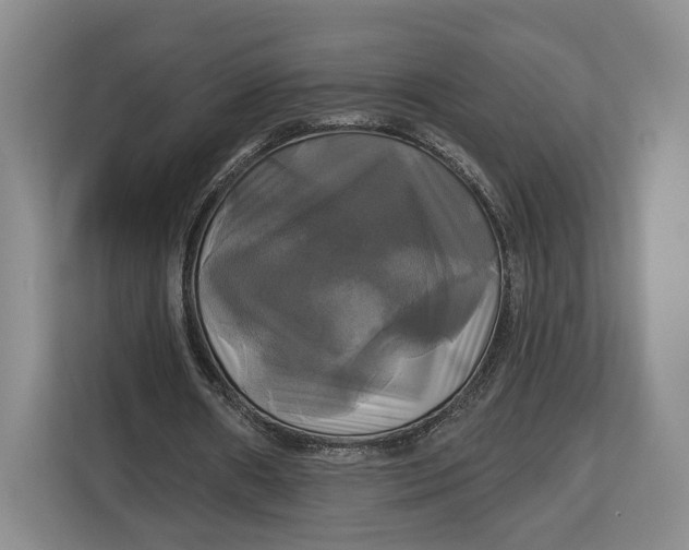 X0000113050482200909171544