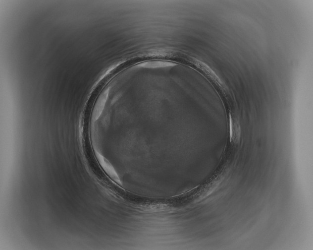 X0000113050483200909171544