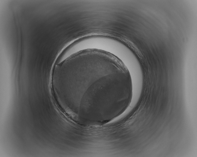 X0000113050484200909171544