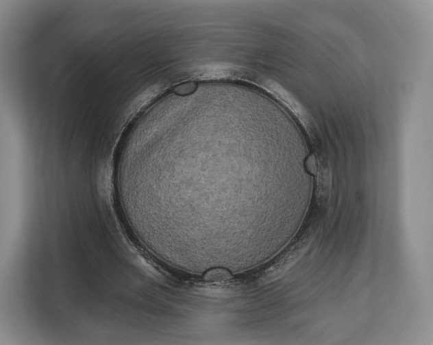 X0000113050485200909171544