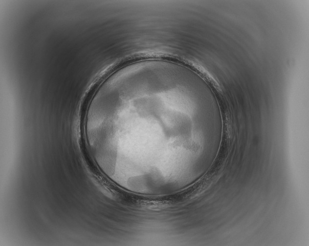 X0000113050486200909171544