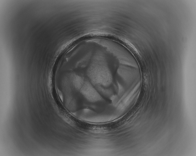 X0000113050487200909171544