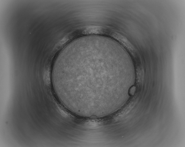 X0000113050489200909171544