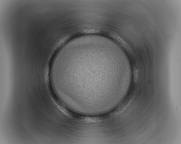 X0000113050490200909171544