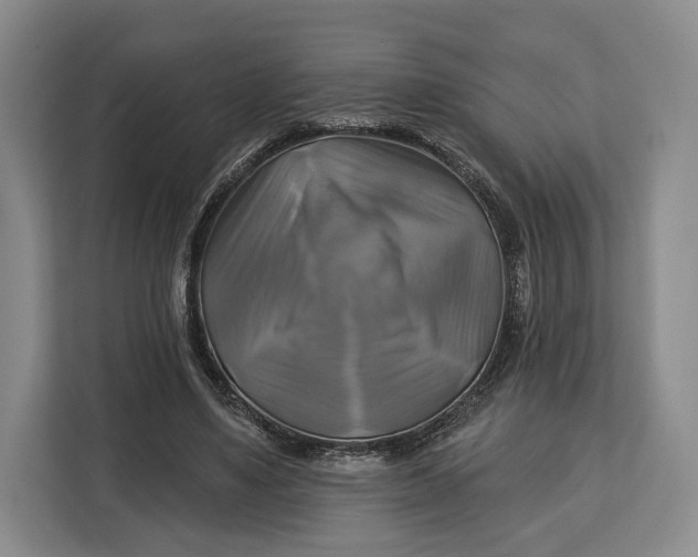 X0000113050491200909171544