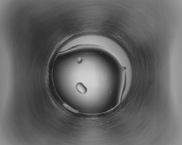 X0000113050492200909171544