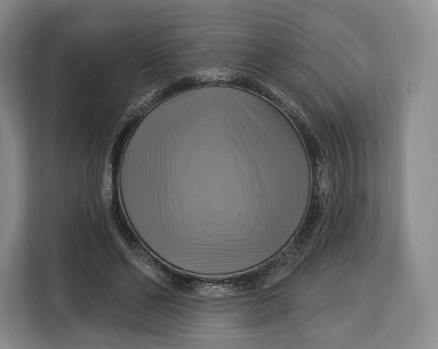 X0000113050494200909171544