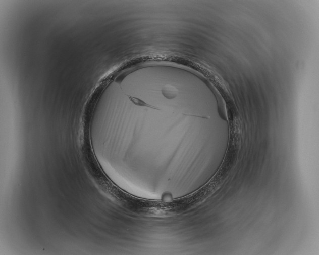 X0000113050496200909171544