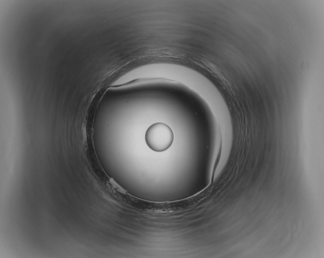 X0000113050500200909171544