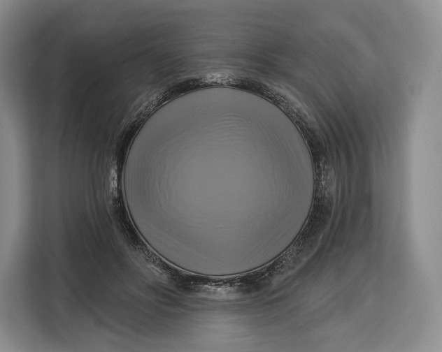 X0000113050502200909171544