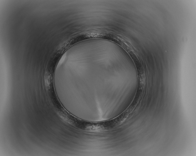 X0000113050503200909171544